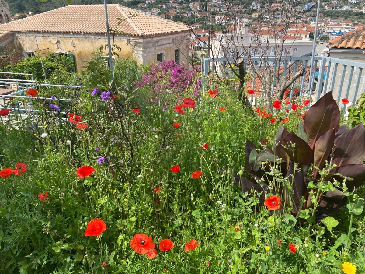 Antiklea Villa Βαθύ Εξωτερικό φωτογραφία